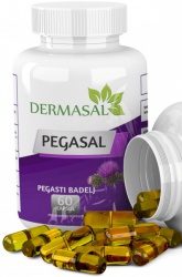 PEGASAL - Pegasti badelj